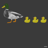 Ducks