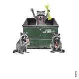 NOLA Raccoons