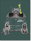 NOLA Raccoons