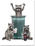 Raccoons