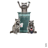 Raccoons