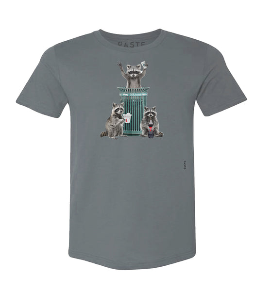 Raccoons