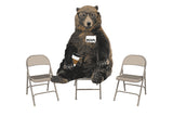 Bear Meeting